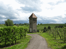 Trafoturm Bodolz 50