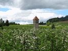 Trafoturm Bodolz 127