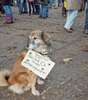 Demonstration Splietau/Dannenberg 2010 - 8